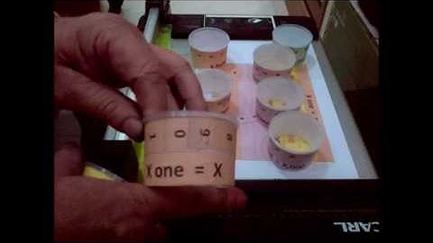 Place Value Manipulative