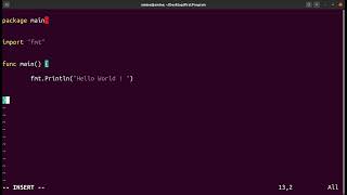 How to Run Your first Go program