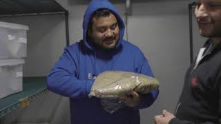 Hash 101 | The Hashish Inn - Barron of Nasha Extracts