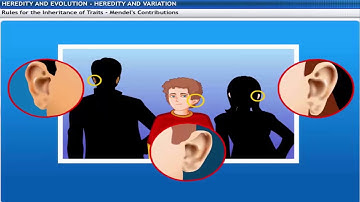 CBSE Class 10 Science   9 ¦¦ Heredity and Evolution ¦¦ Full Chapter ¦¦ by Shiksha House