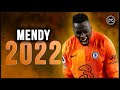 Edouard Mendy 2022 ● The Best ● Crazy Saves - HD