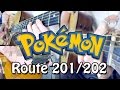 Pokémon D/P/Pt Route 201/202 Acoustic Guitar Cover 🎸