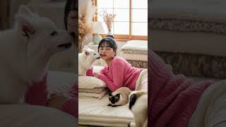 Zen Interrupted—Fluffy Blitz Incoming! 🐶🧘‍♀️ #funnyanimals #fluffydog #trendingclip