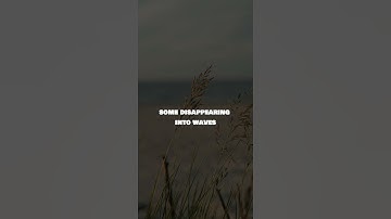 Footprints in the Sand: Unveiling Life