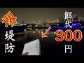 安い釣代で最高に美味い魚を釣りたい？お任せください😎👍