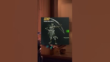 Would Genji and Hanzo be a busted character? 🤔