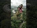 Anaconda king of snake #shortfeed #anaconda