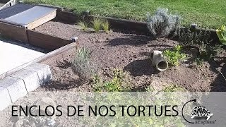 Visite de deux enclos dédiés à nos tortues terrestres