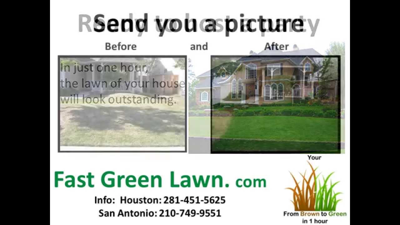 Grass painting service for Homeowners by Fast Green Lawn in Houston