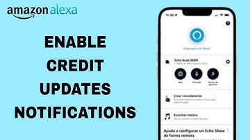 How To Enable Credit Updates Notifications On Amazon Alexa App