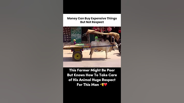 Money Can’t Buy Respect – This Proves It!