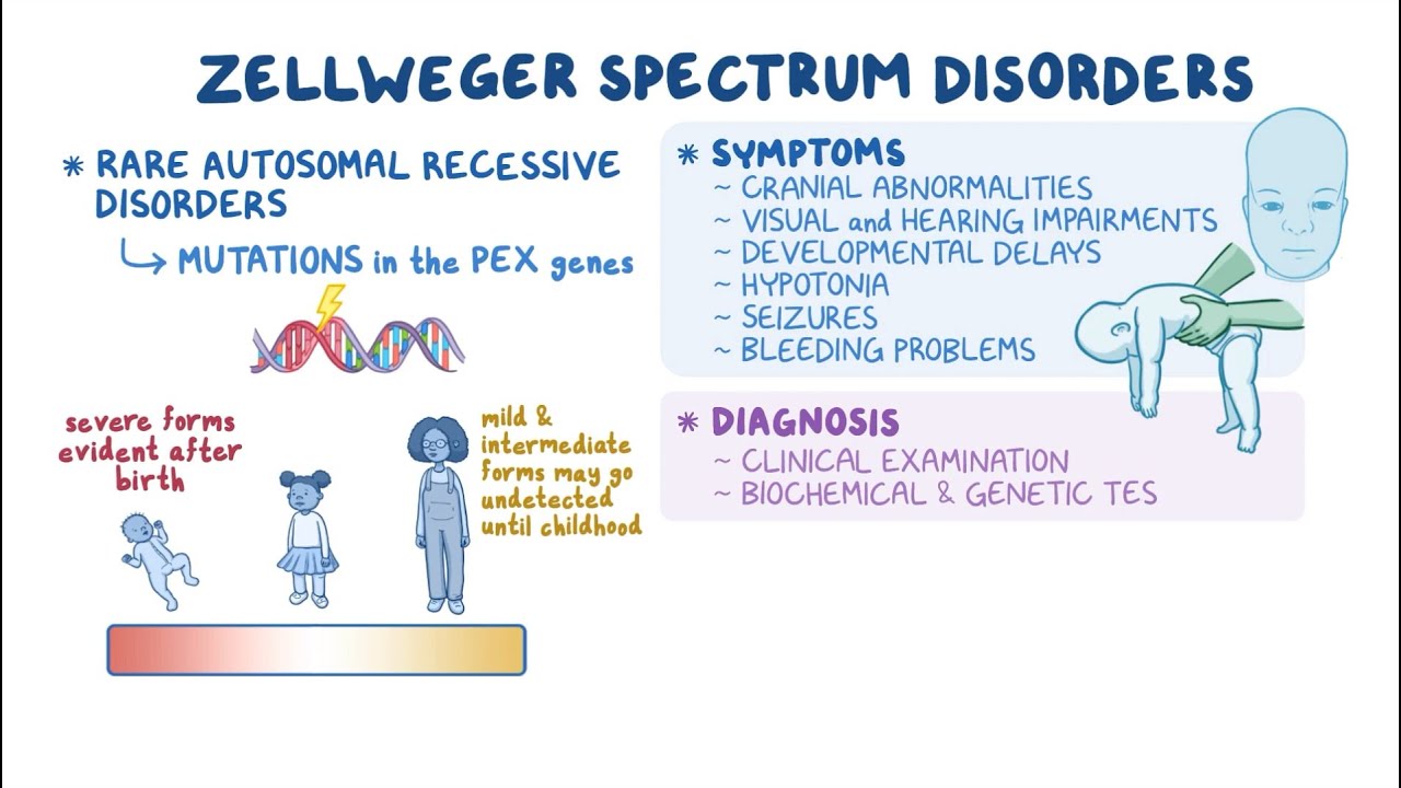 Zellweger Spectrum Disorders: A Rare Genetic Condition Explained