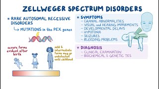 Zellweger Spectrum Disorders: A Rare Genetic Condition Explained