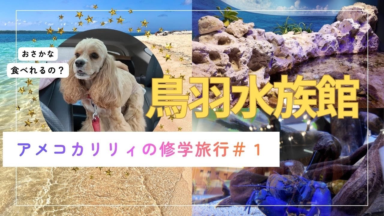 【三重県】リリィ家修学旅行＃１リリィさん鳥羽水族館へゆく