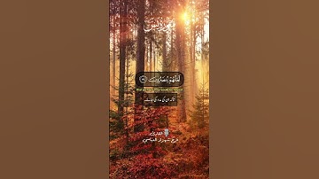 تلاوة هادئة تريح القلب والعقل | تلاوة خاشعة ومؤثرة #اكسبلور #quran #لايك #راحة_نفسية #surahyasin