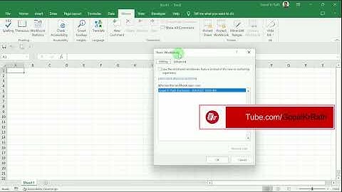 How to Share Excel Workbook with Multiple Users