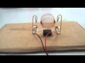 How to Build a Simple DC Motor at Home?