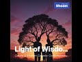 Light of Wisdom (taken and inspired from Wisdom 1)