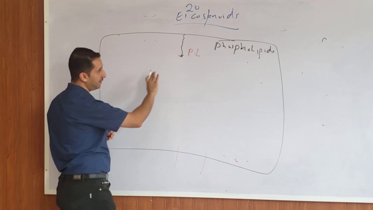 Prostaglandins & analgesics  (classification and mechanisms of analgesics)