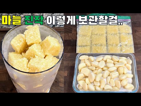 실패 없는 마늘 보관법 3가지