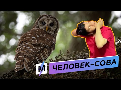 Этот Мужчина Может Повернуть Голову На 180 Градусов. А В Чем Твоя Суперсила?