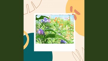 Background for Lazy Days