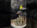 طريقة تنظيف الروبيان الذي يطبخ بقشره للمبتدئين Cooking Maroc السعوديه 