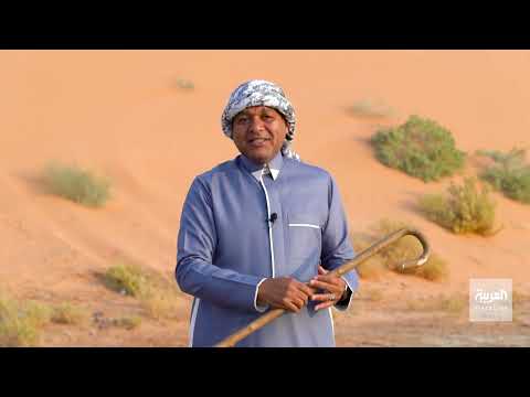 اللي ما شبع من العنب والتين يشبع من مياه تشرين من أين أتت هذه المقولة