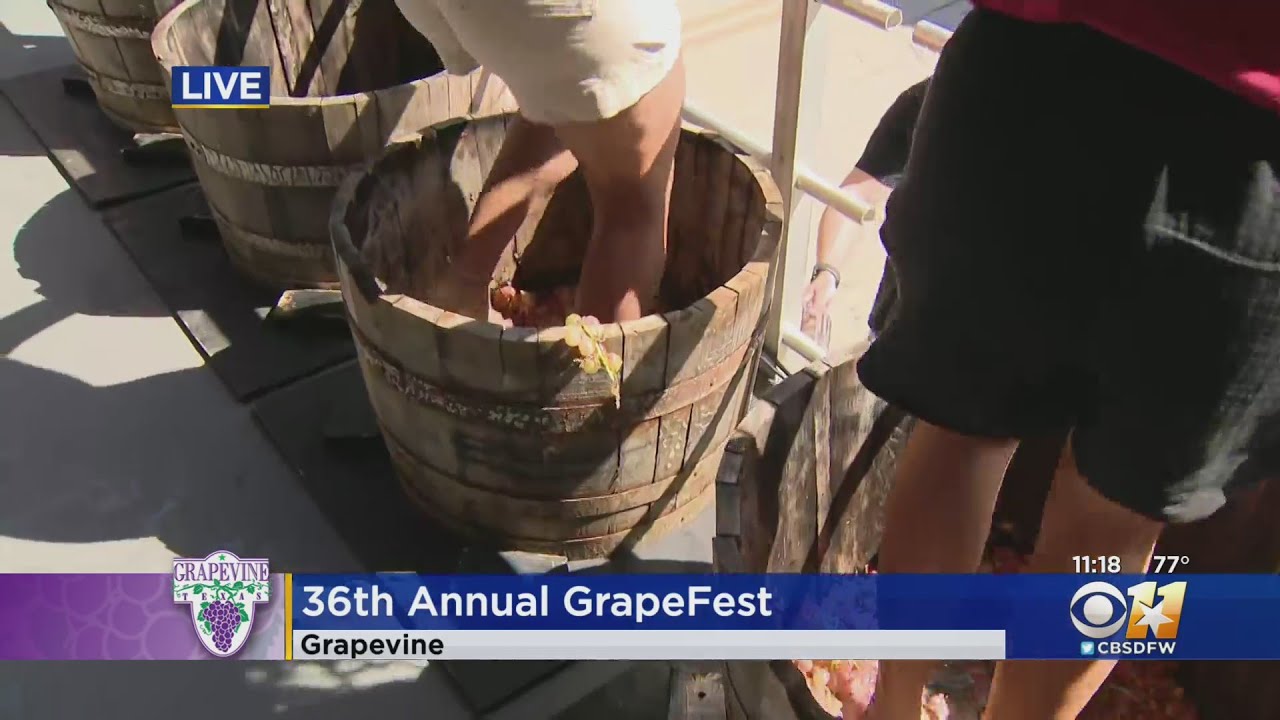 36th Annual GrapeFest kicks off in North Texas