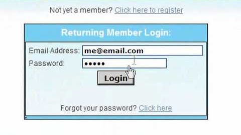 CashFlow Manager.flv