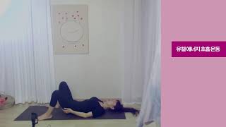 1379회 8월 8일 월요일 꿈기습 호흡 에너지운동