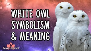 White Owl Symbolism And Meaning | White Owl Spirit Animal