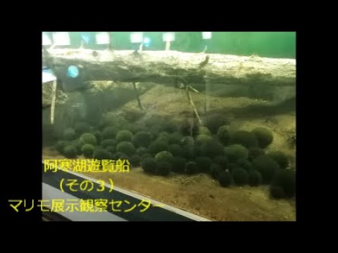 Goto北海道 9 7 昼12 45 阿寒湖遊覧船 その3 マリモ展示観察センター Youtube Goto北海道 9 7 昼12 45 阿寒湖遊覧船 その3 マリモ展示観察センター Youtube