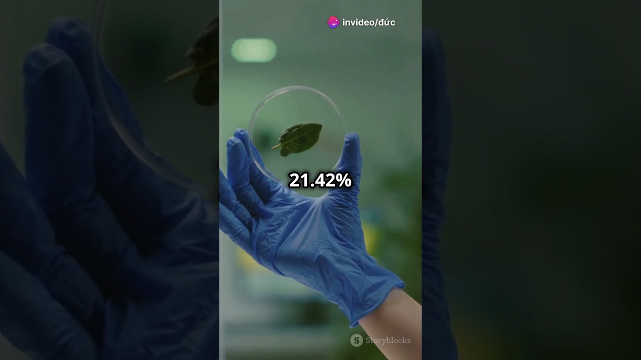 Moringa Leaves  The Ultimate Animal Feed 