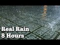 8 HOURS Rain Sounds for Sleeping or Studying - Torrential Rain & Heavy Thunder, Thunderstorm Night