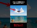 メキシコで撮影された信じられないUFO #隠れ鬼 #恐怖 #おばけ #怪現象 #ミステリーハンター #ホラー #怖い話 #都市伝説 #paranormal #horror