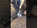 All in place #satisfied #coolvideo #cement #workflow