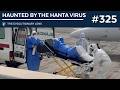 Haunted by the Hanta Virus: The 325th Evolutionary Lens with Bret Weinstein and Heather Heying