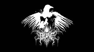 Pure - The Boundary Between Light and Shadow