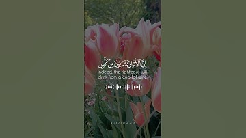 تلاوه جميله بصوت القارئ خالد عبدالغني.. #اكسبلور #قرآن#تلاوات #quran