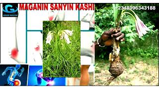 Maganin SANYIN kashi da ciwon gabobi screenshot 5
