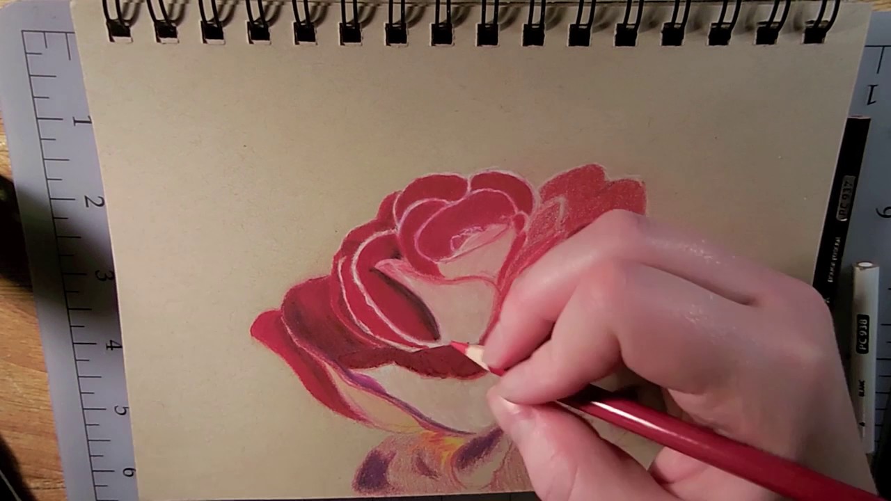Drawing a Rose With Prismacolor Colored Pencils