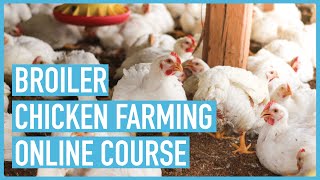 Secrets to Successful Broilers Farming - Course Introduction and Outline