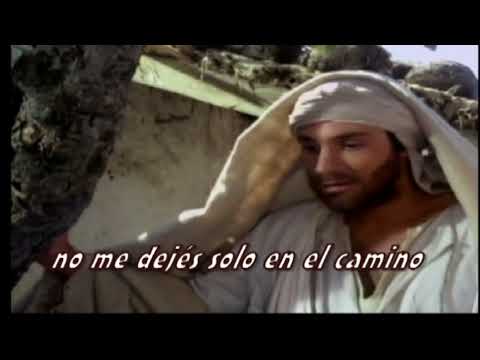 Divino Compañero del