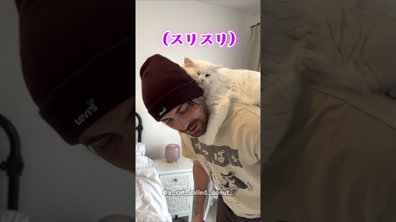 耳の聞こえない猫と暮らすということ