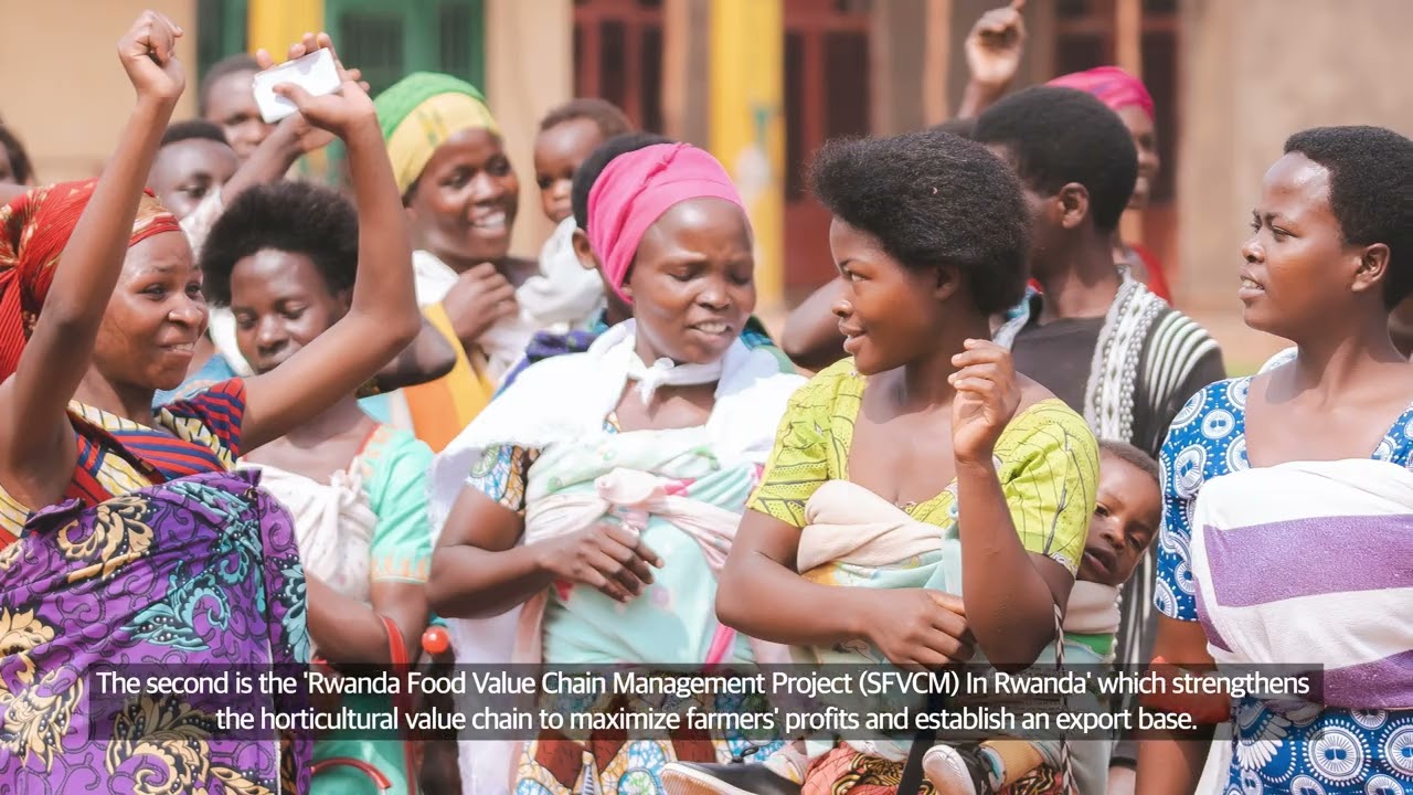 Introducing iPAID: The Institute for Poverty Alleviation and International Development