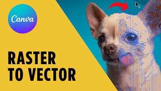 Make Vector Graphics From Images in Canva – Step-by-Step Tutorial Net Worth
