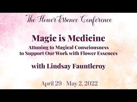 Magic is Medicine: Attuning to magical consciousness with Lindsay Fauntleroy (excerpt)