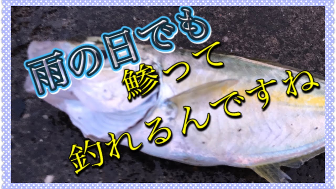 アジ釣り 勝浦で雨の日は魚が釣れるのか Youtube