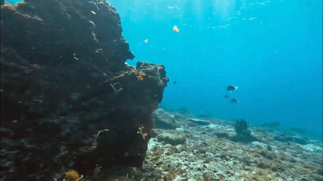Cozumel Northwest shore dive with DPV. 
